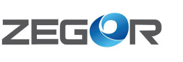 Официальный логотип бренда Zegor