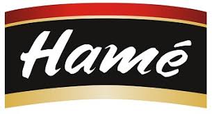 Hame Официальный логотип бренда Hame