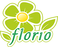 Официальный логотип бренда Florio