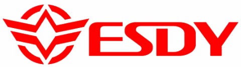 ESDY Официальный логотип бренда ESDY