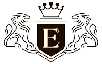 Офіційний логотип бренду Erisioni