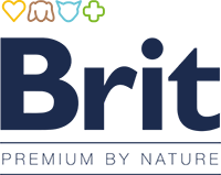 Brit Официальный логотип бренда Brit
